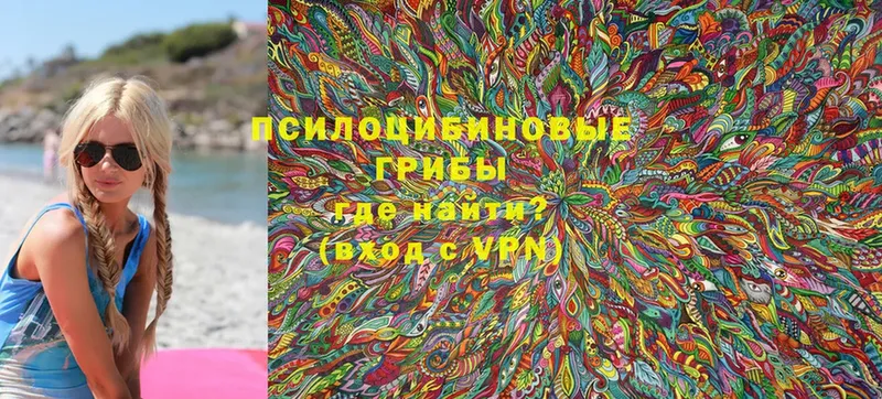 Галлюциногенные грибы GOLDEN TEACHER  где продают   Истра 